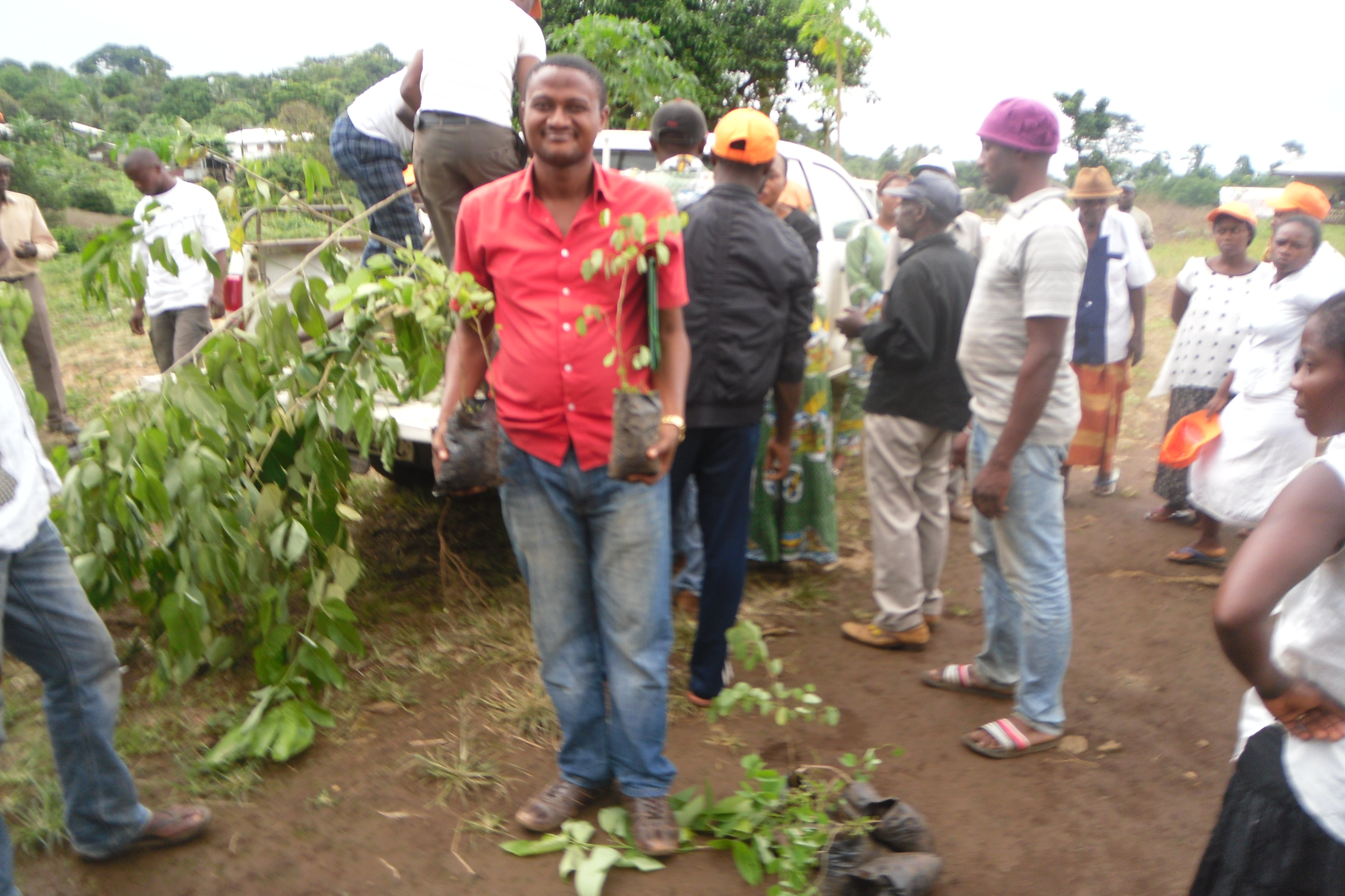 IYEC-Cameroon fostering youth civic engagement in tree planting within their communities , and water catchment areas to fight the devastating effects of climate change.