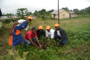 IYEC-Cameroon fostering youth civic engagement in tree planting within their communities , and water catchment areas to fight the devastating effects of climate change.