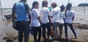 Field work by IYEC interns at the Mabeta Fishing Port.