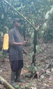 farm manager